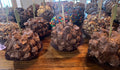Chocolate Apples Extra Special- NON Shipping ITEM ONLY